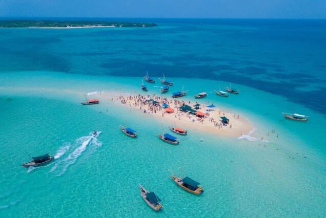 Safari Blue with BBQ Lunch and Snorkelling