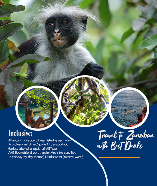 safari blue zanzibar programme