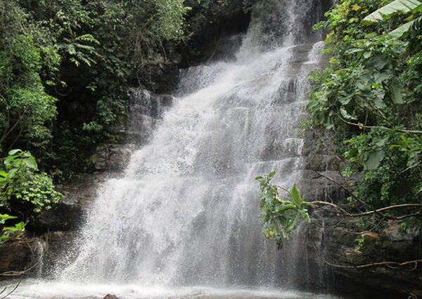 2-Day to Mikumi National Park, Choma Waterfalls and Hiking Mountain Uluguru